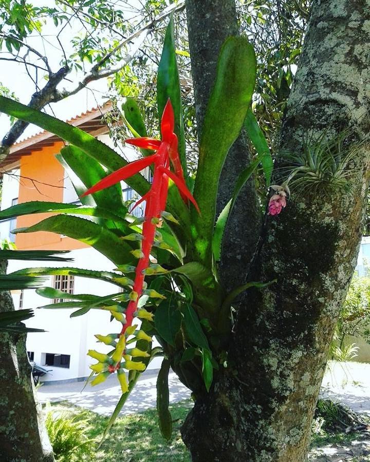 Recanto Acacias *